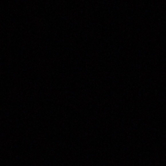 dani384